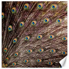 Peacock Feathers Wheel Plumage Canvas 12  X 12  by Wegoenart