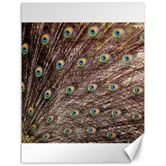 Peacock Feathers Wheel Plumage Canvas 12  X 16  by Wegoenart