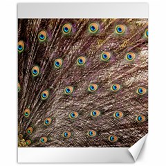 Peacock Feathers Wheel Plumage Canvas 16  X 20  by Wegoenart