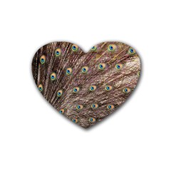 Peacock Feathers Wheel Plumage Heart Coaster (4 Pack)  by Wegoenart