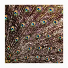 Peacock Feathers Wheel Plumage Medium Glasses Cloth (2-side) by Wegoenart