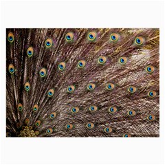 Peacock Feathers Wheel Plumage Large Glasses Cloth by Wegoenart