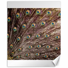 Peacock Feathers Wheel Plumage Canvas 11  X 14  by Wegoenart