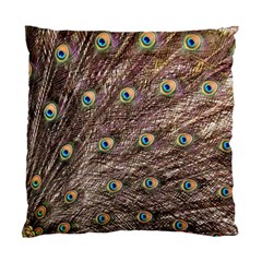 Peacock Feathers Wheel Plumage Standard Cushion Case (two Sides) by Wegoenart