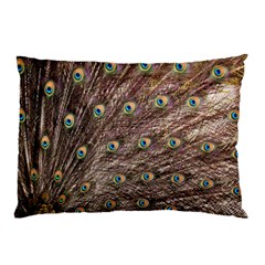 Peacock Feathers Wheel Plumage Pillow Case by Wegoenart