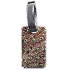 Peacock Feathers Wheel Plumage Luggage Tags (two Sides) by Wegoenart