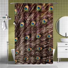 Peacock Feathers Wheel Plumage Shower Curtain 48  X 72  (small)  by Wegoenart