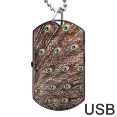 Peacock Feathers Wheel Plumage Dog Tag Usb Flash (one Side) by Wegoenart