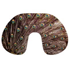 Peacock Feathers Wheel Plumage Travel Neck Pillows by Wegoenart