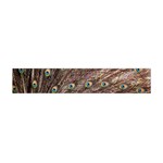 Peacock Feathers Wheel Plumage Flano Scarf (Mini) Front