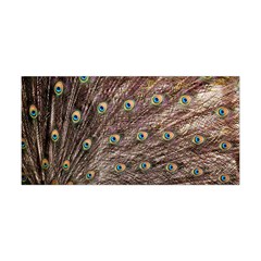 Peacock Feathers Wheel Plumage Yoga Headband by Wegoenart