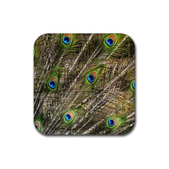 Peacock Feathers Color Plumag Rubber Coaster (square)  by Wegoenart