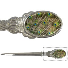 Peacock Feathers Color Plumag Letter Opener by Wegoenart