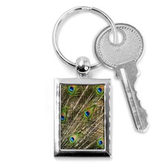 Peacock Feathers Color Plumag Key Chains (rectangle)  by Wegoenart