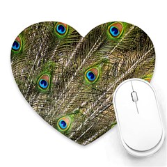 Peacock Feathers Color Plumag Heart Mousepads by Wegoenart