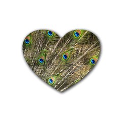 Peacock Feathers Color Plumag Heart Coaster (4 Pack)  by Wegoenart