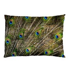 Peacock Feathers Color Plumag Pillow Case (two Sides) by Wegoenart