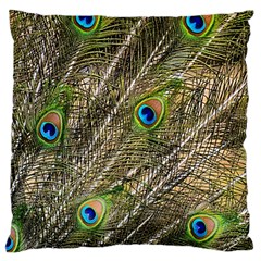 Peacock Feathers Color Plumag Large Cushion Case (two Sides) by Wegoenart