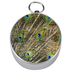 Peacock Feathers Color Plumag Silver Compasses by Wegoenart