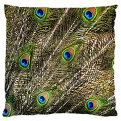 Peacock Feathers Color Plumag Large Flano Cushion Case (one Side) by Wegoenart