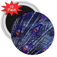 Peacock Feathers Color Plumage 3  Magnets (10 Pack)  by Wegoenart