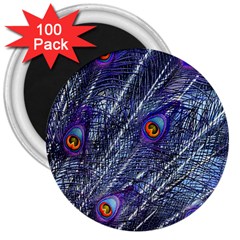 Peacock Feathers Color Plumage 3  Magnets (100 Pack) by Wegoenart