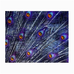 Peacock Feathers Color Plumage Small Glasses Cloth