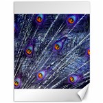 Peacock Feathers Color Plumage Canvas 36  x 48  35.26 x46.15  Canvas - 1