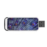 Peacock Feathers Color Plumage Portable USB Flash (Two Sides) Front