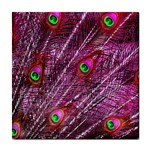 Peacock Feathers Color Plumage Tile Coasters Front