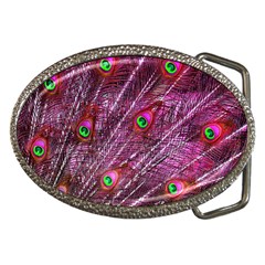 Peacock Feathers Color Plumage Belt Buckles by Wegoenart