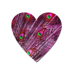 Peacock Feathers Color Plumage Heart Magnet by Wegoenart