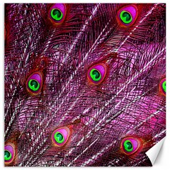 Peacock Feathers Color Plumage Canvas 12  X 12  by Wegoenart