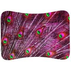 Peacock Feathers Color Plumage Velour Seat Head Rest Cushion