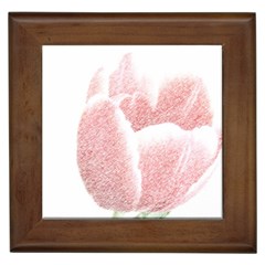 Tulip Red And White Pen Drawing Framed Tiles by picsaspassion