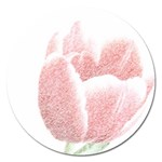 Tulip red and white pen drawing Magnet 5  (Round) Front