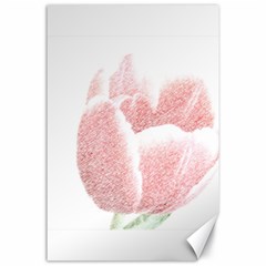 Tulip Red And White Pen Drawing Canvas 24  X 36  by picsaspassion