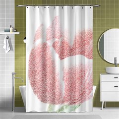 Tulip Red And White Pen Drawing Shower Curtain 48  X 72  (small)  by picsaspassion