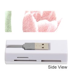 Tulip Red And White Pen Drawing Memory Card Reader (stick) by picsaspassion