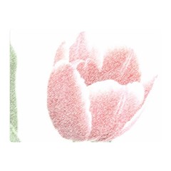 Tulip Red And White Pen Drawing Double Sided Flano Blanket (mini)  by picsaspassion