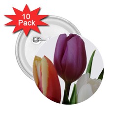 Tulips Bouquet 2 25  Buttons (10 Pack)  by picsaspassion