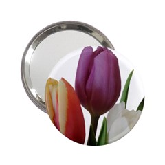 Tulips Bouquet 2 25  Handbag Mirrors by picsaspassion