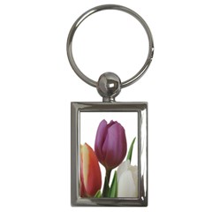 Tulips Bouquet Key Chains (rectangle)  by picsaspassion