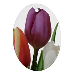 Tulips Bouquet Oval Ornament (two Sides) by picsaspassion