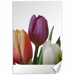 Tulips Bouquet Canvas 12  X 18  by picsaspassion