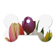 Tulips Bouquet Dog Tag Bone (one Side) by picsaspassion