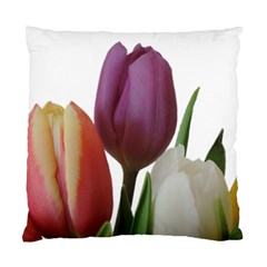 Tulips Bouquet Standard Cushion Case (one Side)