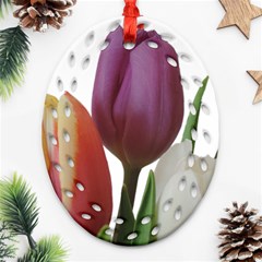 Tulips Bouquet Ornament (oval Filigree) by picsaspassion