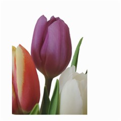 Tulips Bouquet Small Garden Flag (two Sides) by picsaspassion