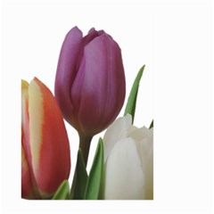 Tulips Bouquet Large Garden Flag (two Sides) by picsaspassion